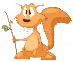 Hülye suli, hülye töri verseny, hülye emberek, hülye mókuskerék, hülye mókusok!